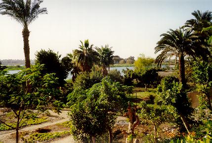 Banks of the Nile