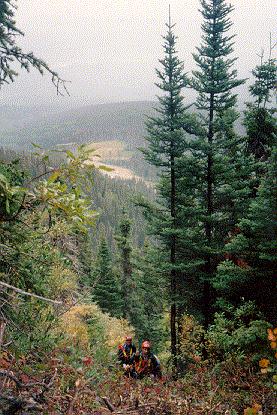 NWT view with juggies